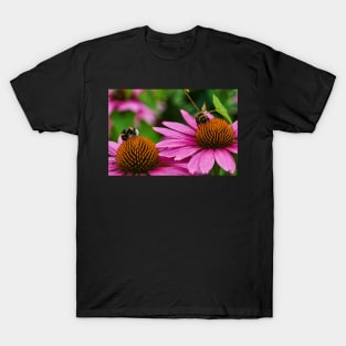 Two bumble bees T-Shirt